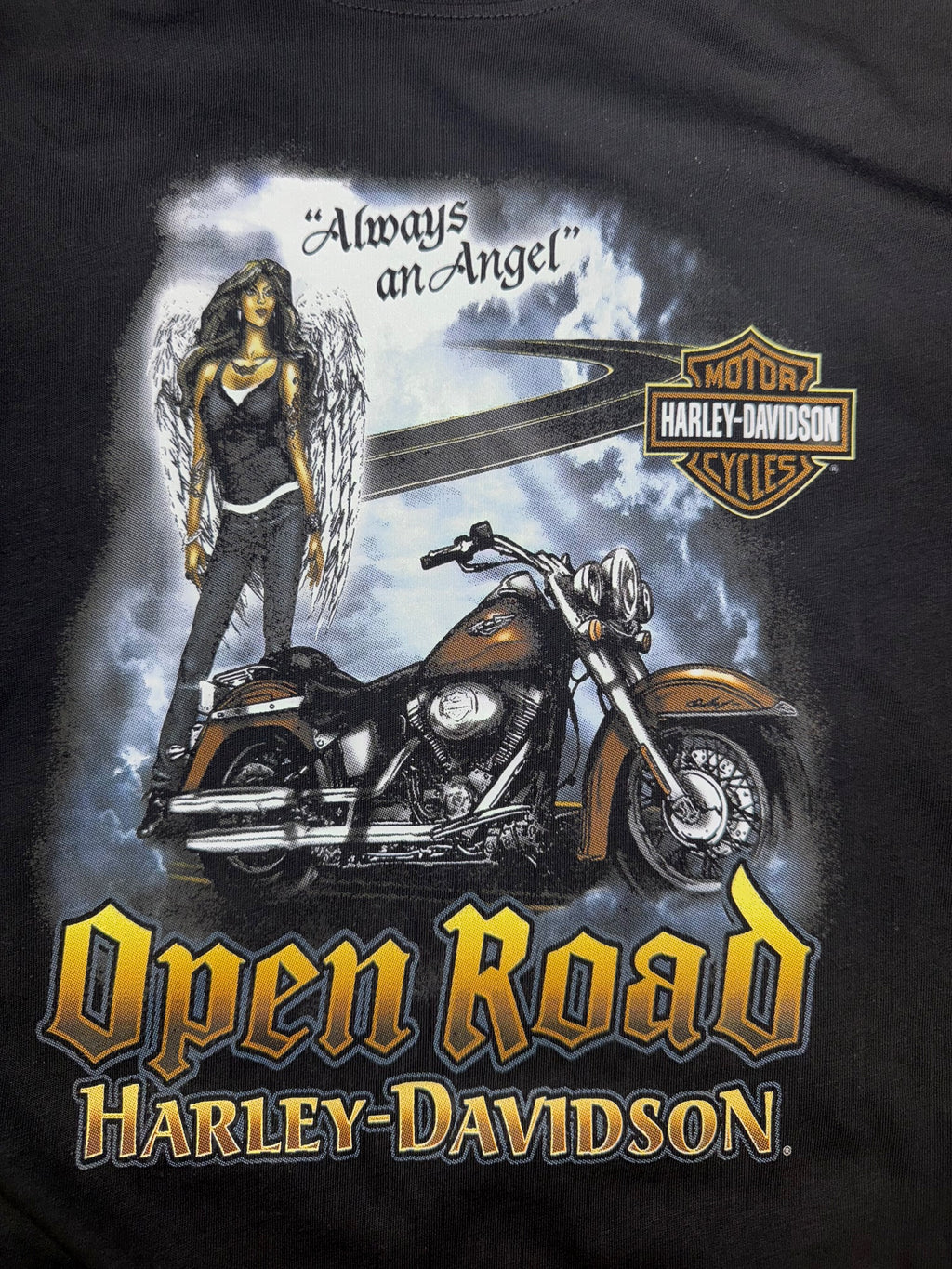 HARLEY DAVIDSON MOTORCYCLE OPEN ROAD BLACK T SHIRT