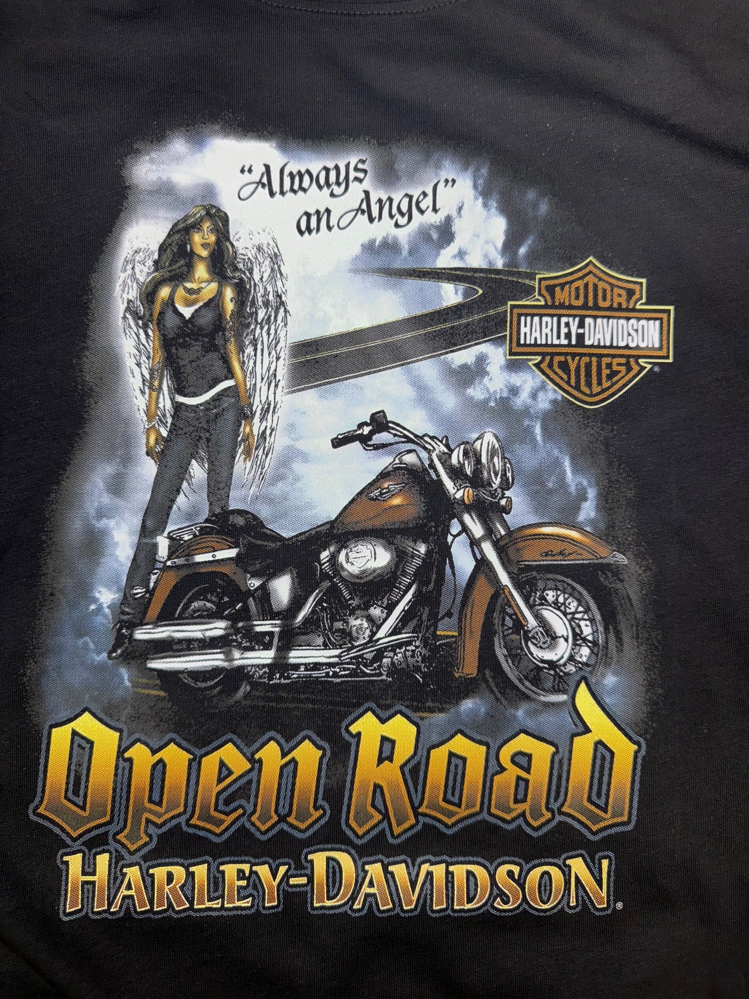 HARLEY DAVIDSON MOTORCYCLE OPEN ROAD BLACK T SHIRT