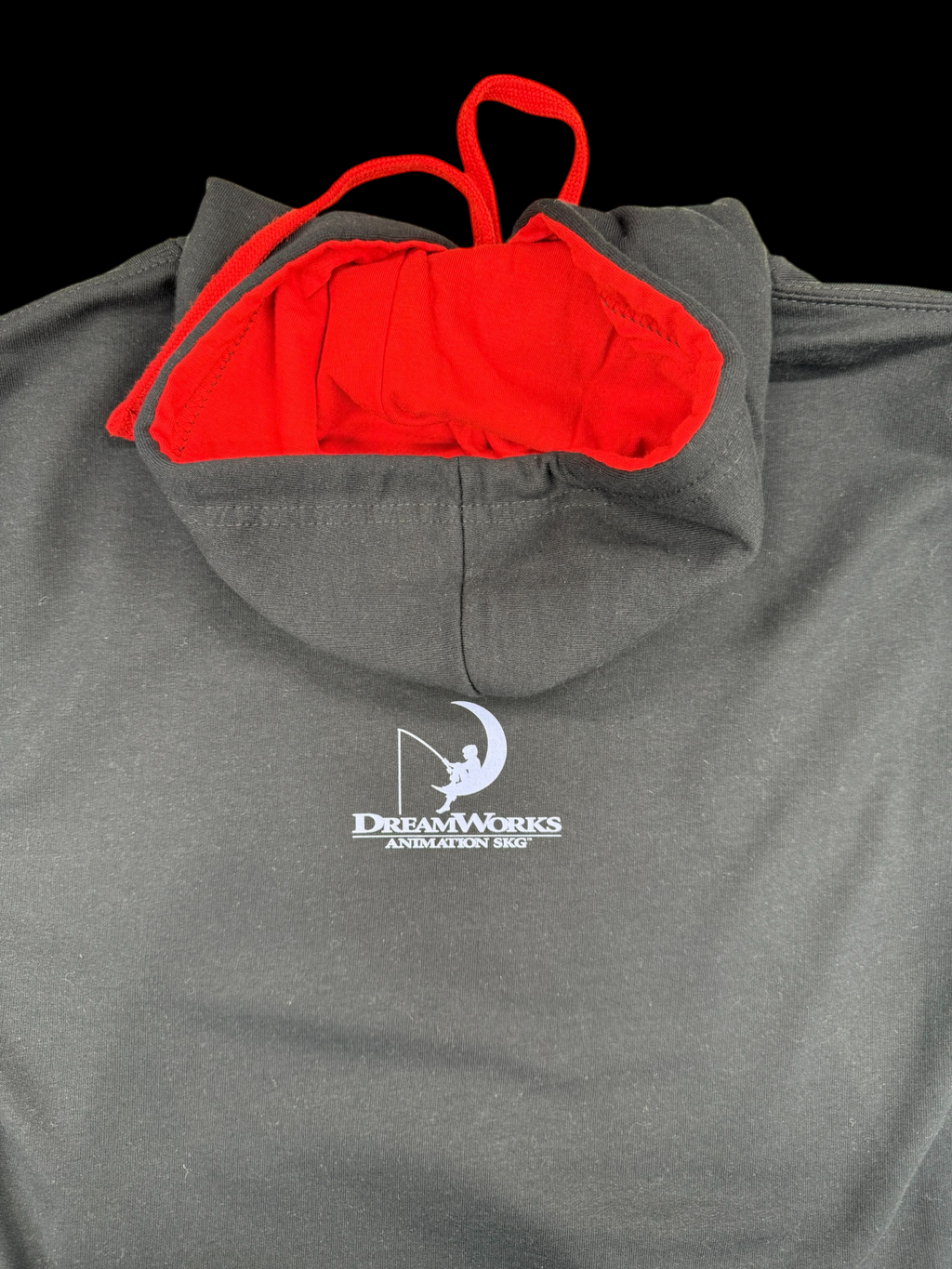 KUNG FU PANDA HOODIE