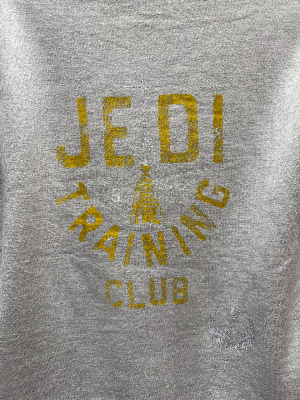 STAR WARS JEDI TRAINING HOODIE